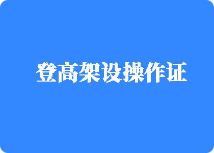 肏视频网站登高架设操作证